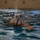 Illustration for article titled Moments of underwater rugby at the 2015 Salzburger Stier